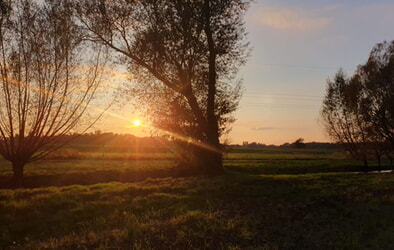 Hofzeit am 2.11.,11.00 Uhr 